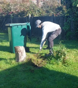 Ayka gardening